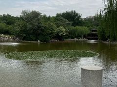 -西安市长乐公园