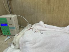 -北京观赏动物医院·24小时大型综合·猫专科·异宠专科