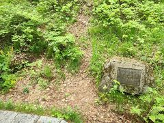-汤旺河林海奇石景区