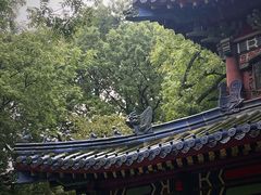 -灵谷景区