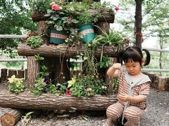 -沂蒙山旅游区云蒙景区(蒙山国家森林公园)