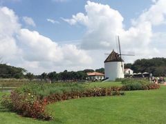 -济州森林小火车生态公园