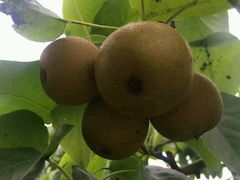 -成都中医药大学(温江校区)