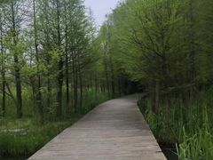 -溱湖国家湿地公园