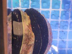 -珍宝轩海鲜火锅(碧湖大厦店)