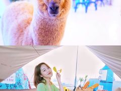 -Blue Concept Cafe&Farm·關於藍
