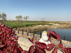 -滨海湖高尔夫球会