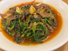 -陈麻婆豆腐总店