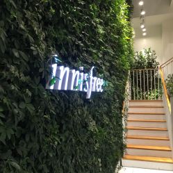 -悦诗风吟innisfree