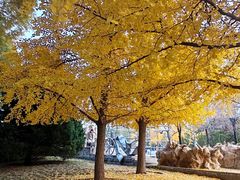 -元大都城垣遗址公园