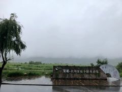 -腾冲北海湿地