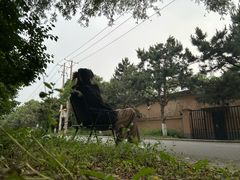 -沈阳市东陵公园