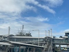 -费瑟代尔野生动物园