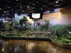 -陕西自然博物馆