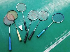 -东坡羽毛球馆(东坡南一路店)