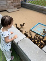 -萌宠亲子动物乐园(槐房万达店)