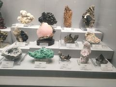 -湖南省地质博物馆