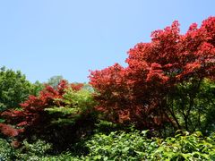 -京都御所
