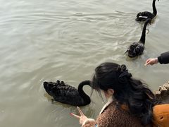 -祥源·阜阳生态乐园