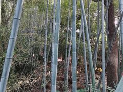 -福道
