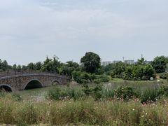 -瑶湖郊野森林公园