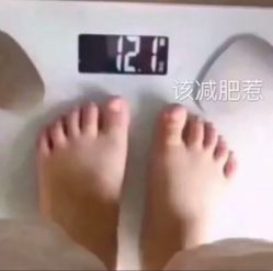 -香薇妮丝·定制减肥·身材管理