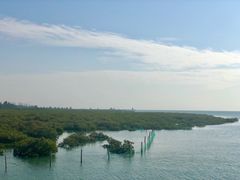 -北海金海湾红树林生态旅游区