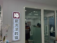 -爱洗澡的猫(望京店)