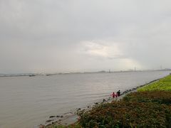 -海鸥岛