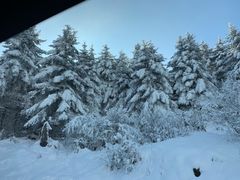 -太子岭滑雪场