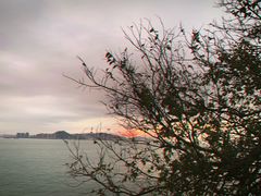 -胡里山炮台