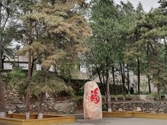 -北京鹫峰国家森林公园