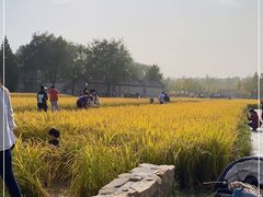 -北坞公园