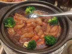 鲍汁牛筋豆腐-品珍中餐厅·南北融合特色菜(兰州富力万达文华酒店)