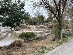 -鹅湖玫瑰文化园