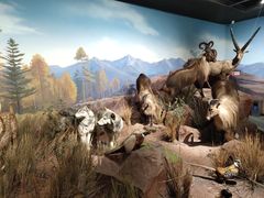 -陕西自然博物馆