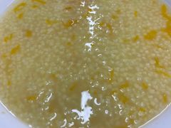 -小胖包子王(赵公口店)