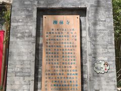 -西安曲江寒窑遗址公园