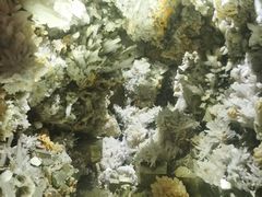 -湖南省地质博物馆