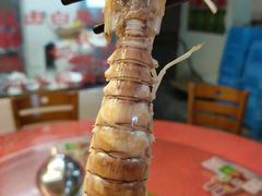 -外伶仃岛海鲜市场