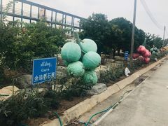 -东芭乐园