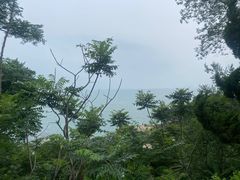 -海源公园