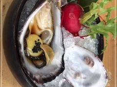 -Hatsune隐泉日式料理(三里屯太古里店)