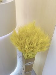 -康美贞·痘肌养护管理中心