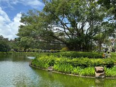 -厦门大学(思明校区)