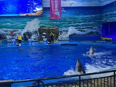 -多彩贵州城极地海洋世界