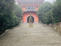 -铁山坪森林公园