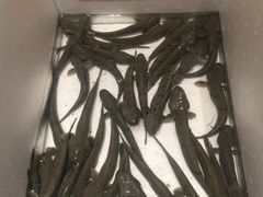 -上味·小海小鲜(中联店)