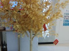 -海底捞大排档火锅(悦荟广场店)