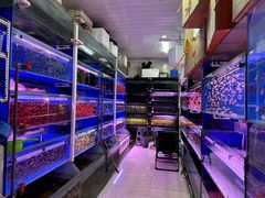 -华声天桥民俗文化园